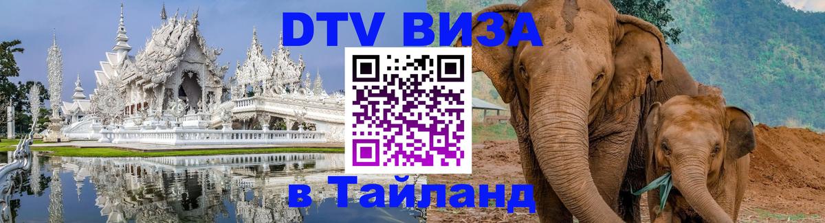 Сколько стоит DTV виза — актуальные цены, оформление даже без документов - 06.12.2025 